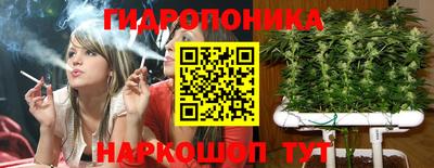 PSILOCYBIN Тверь